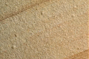 Pieskovec